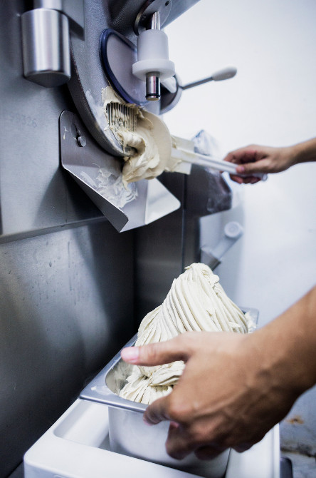 Professional Gelato Equipment & Ingredients – Machines, Display Cabinets & Premium Mixes | TIM Corp